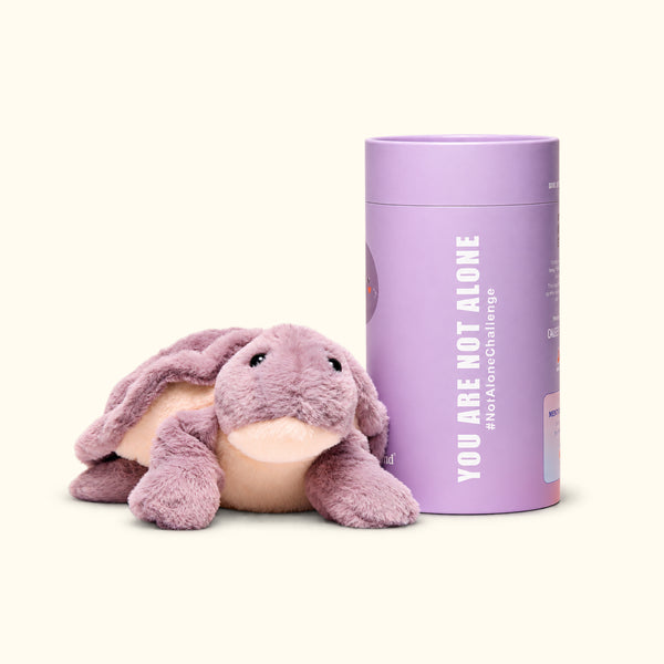 Aphie the Turtle