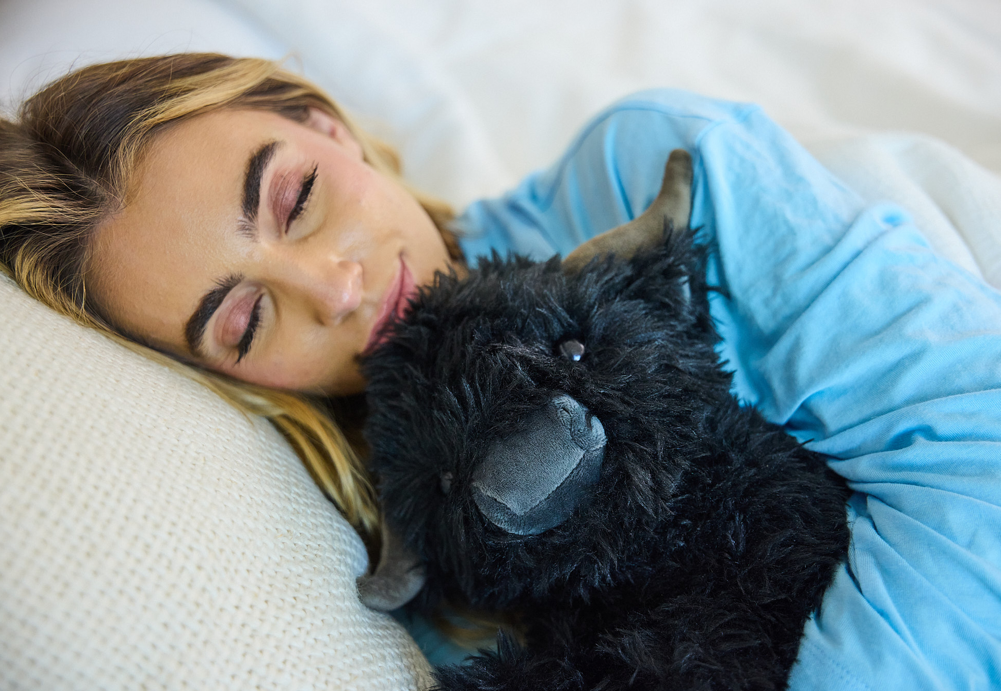 Angus the Highland Cow