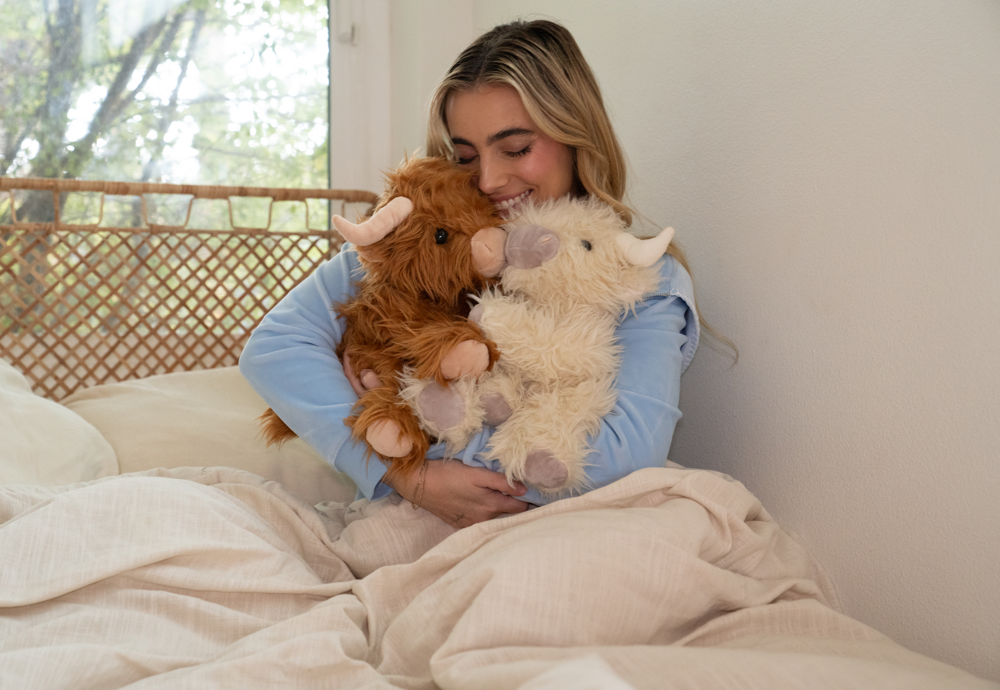 Toffee the Highland Cow