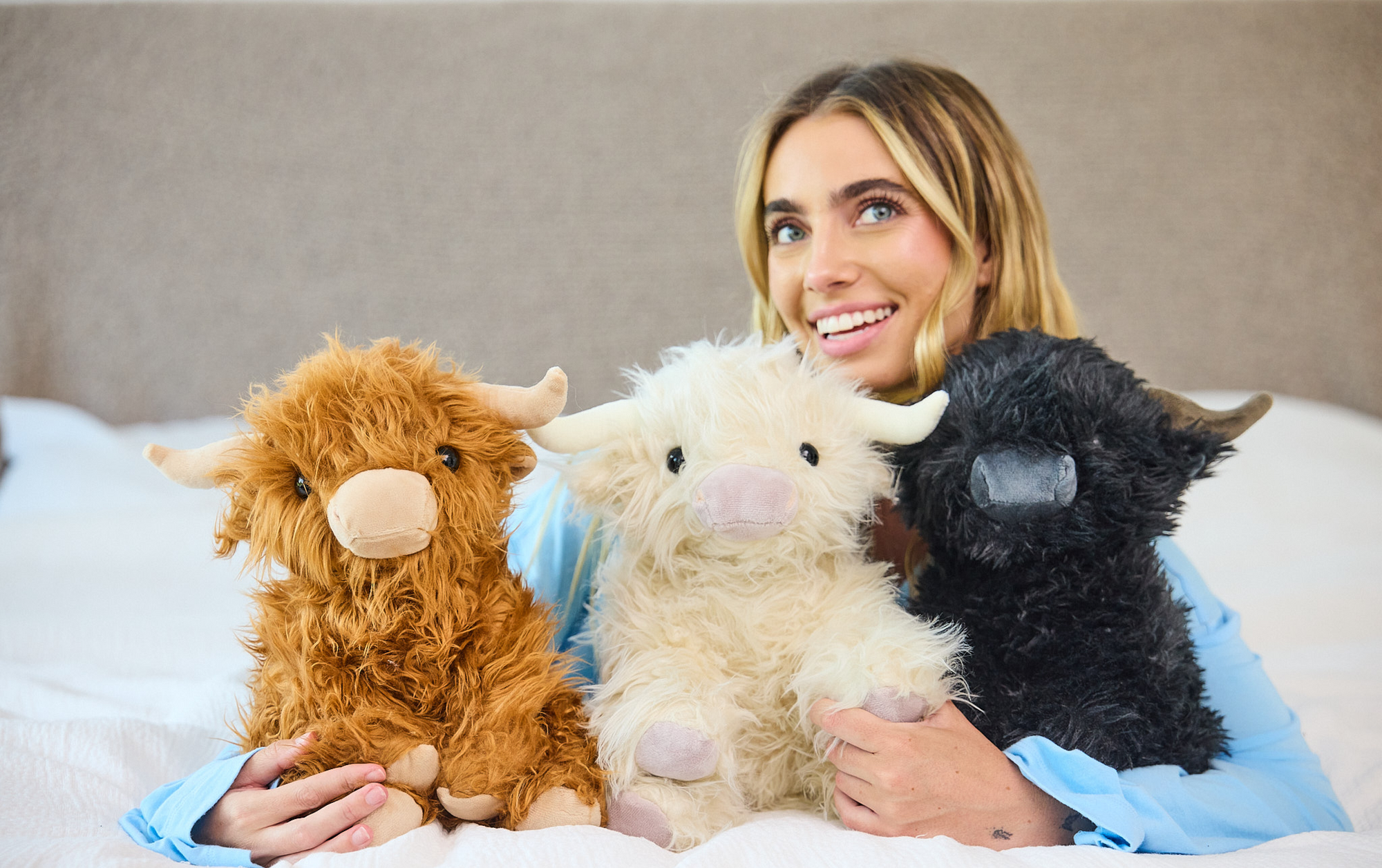 Angus the Highland Cow