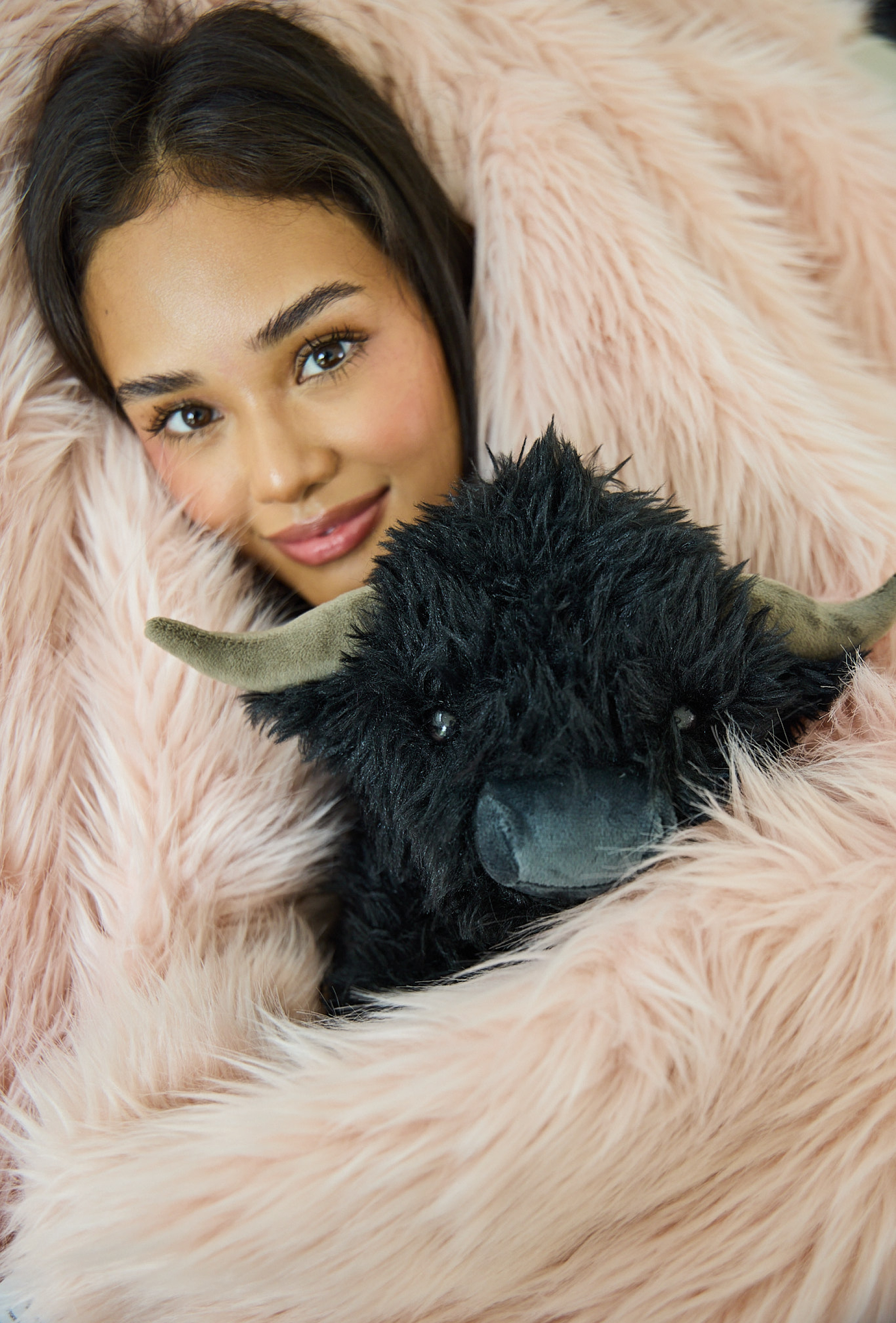 Angus the Highland Cow