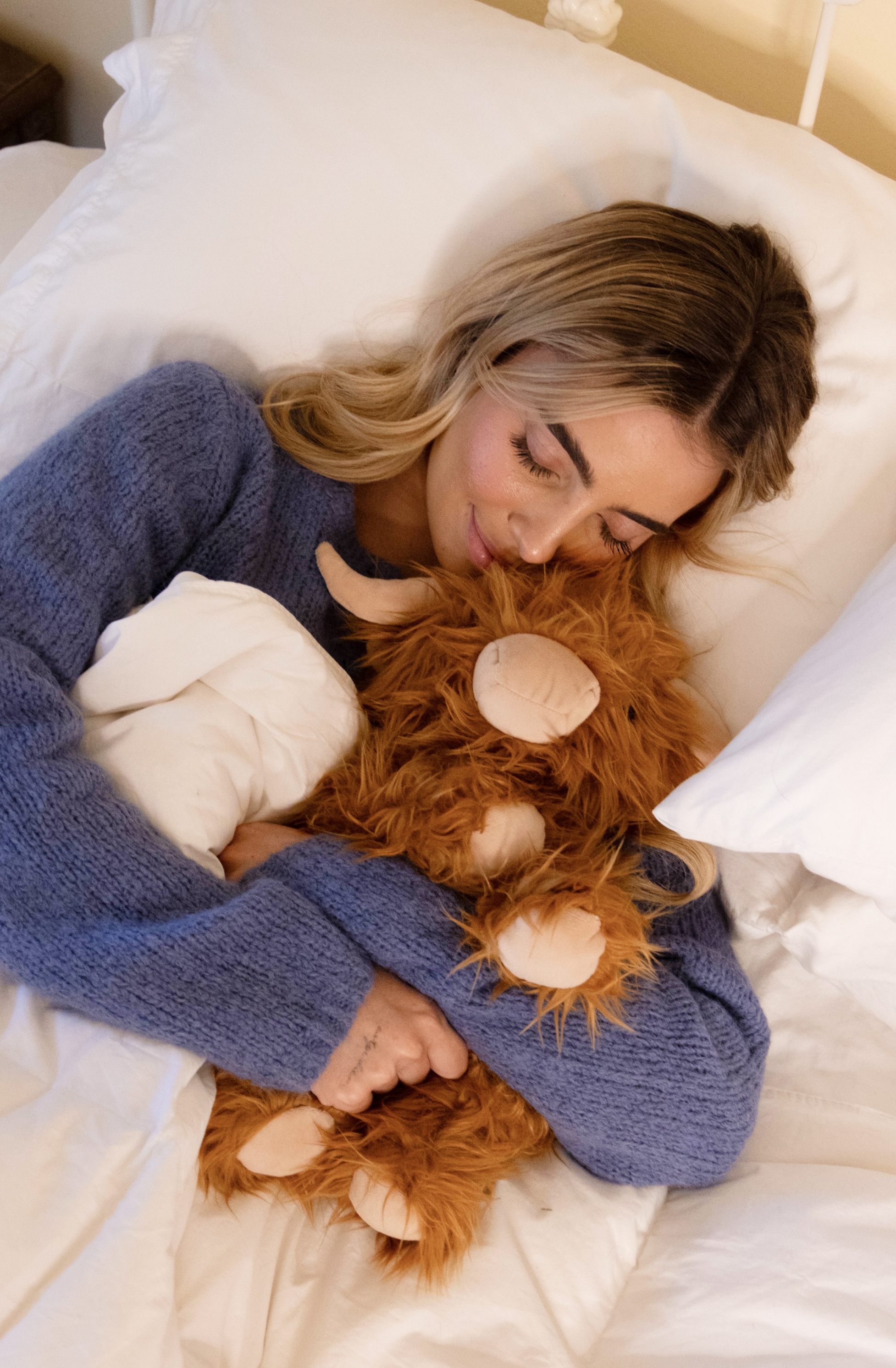 Toffee the Highland Cow