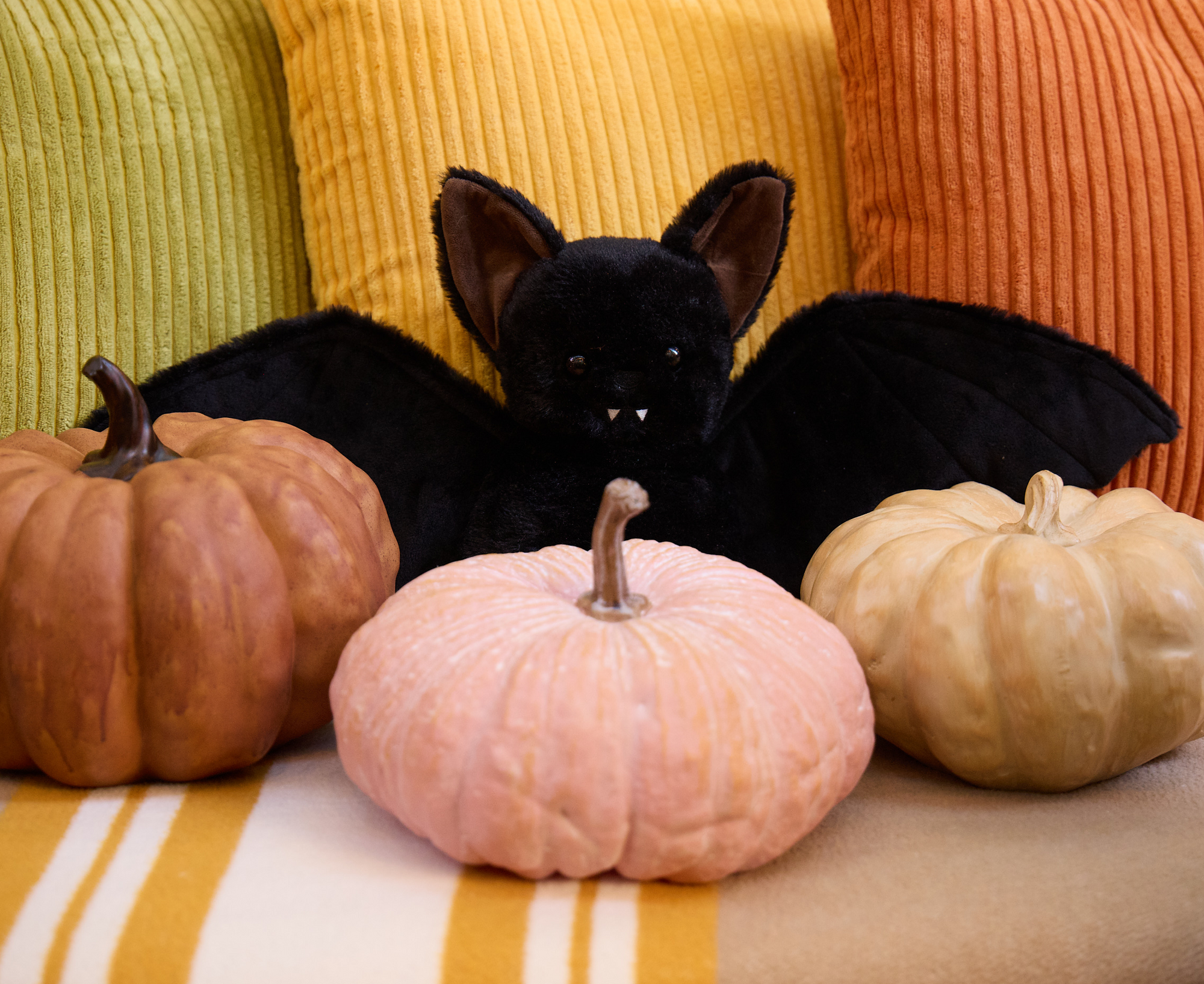 Midnight the Bat