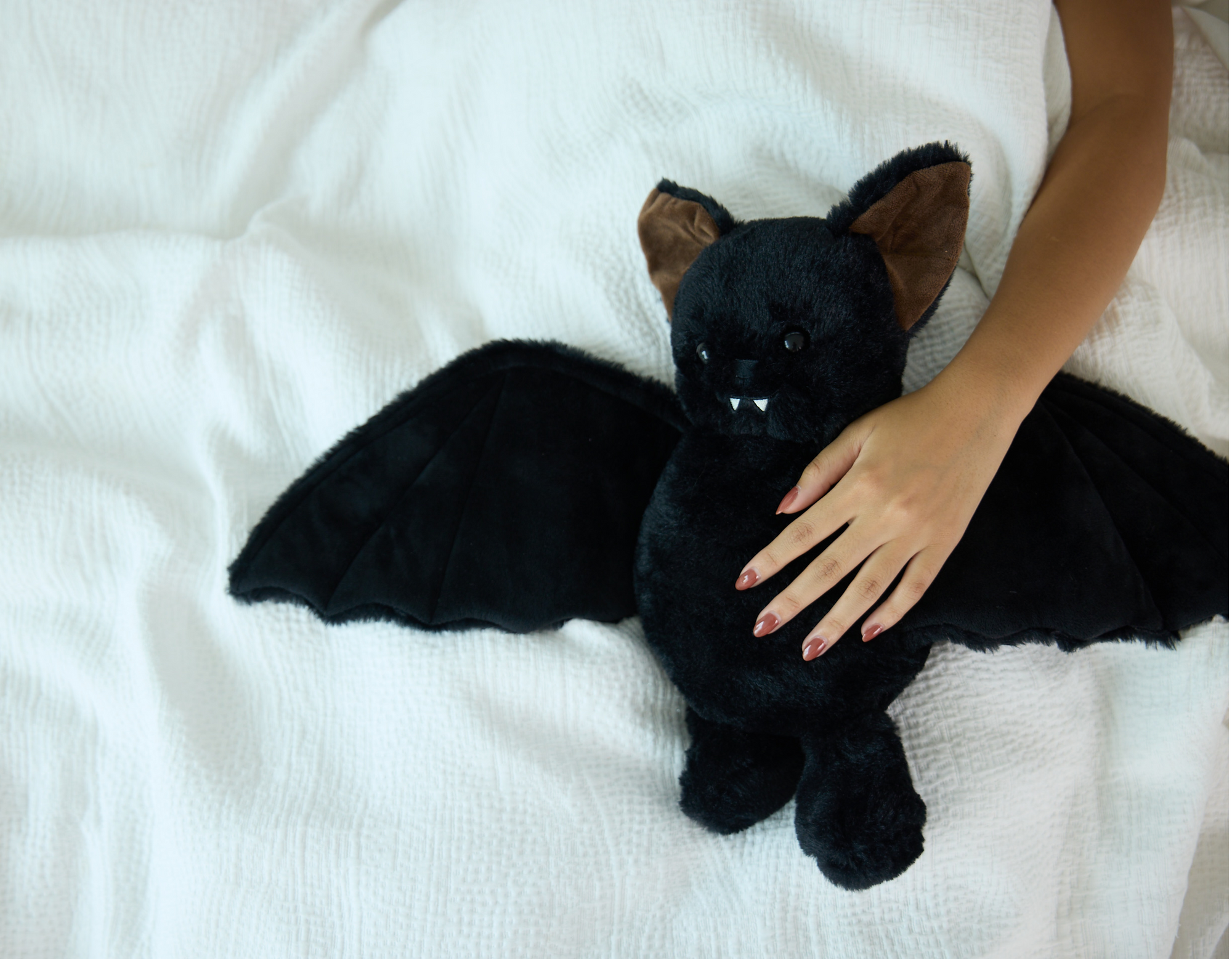 Midnight the Bat