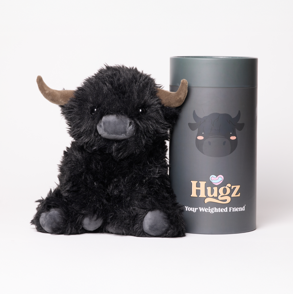 Angus the Highland Cow