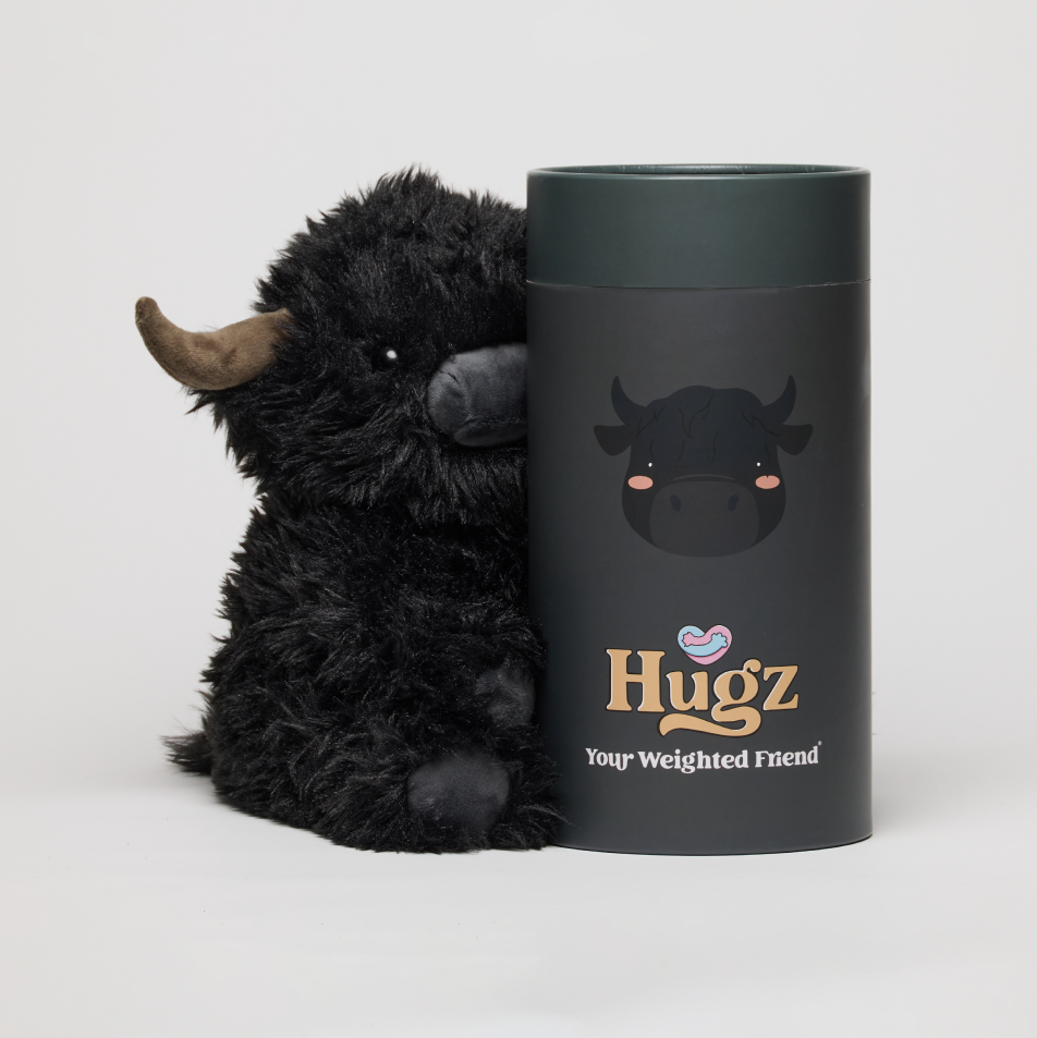 Angus the Highland Cow