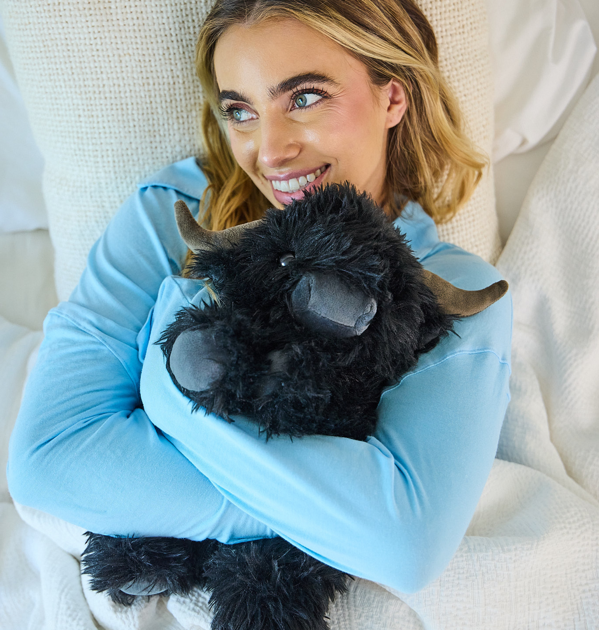 Angus the Highland Cow