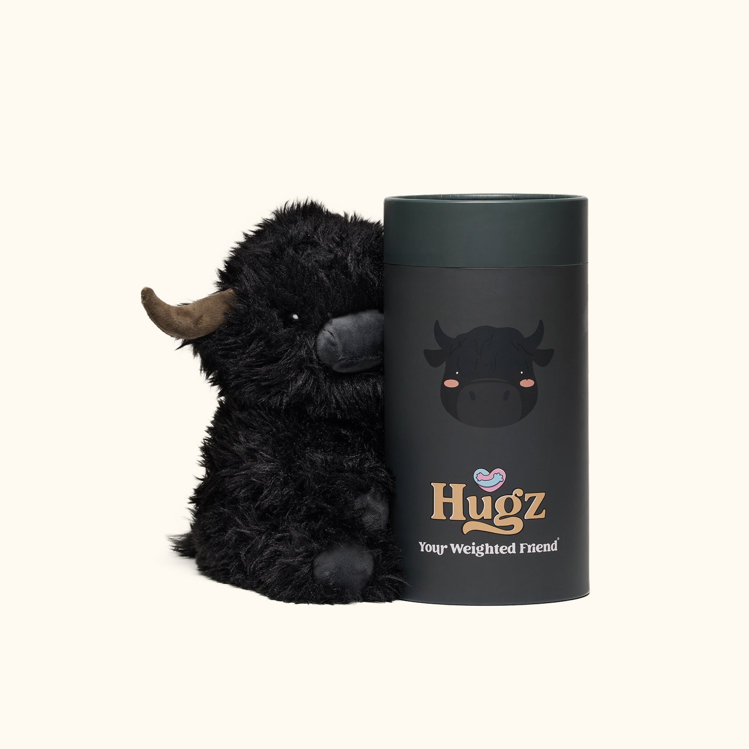 Angus the Highland Cow