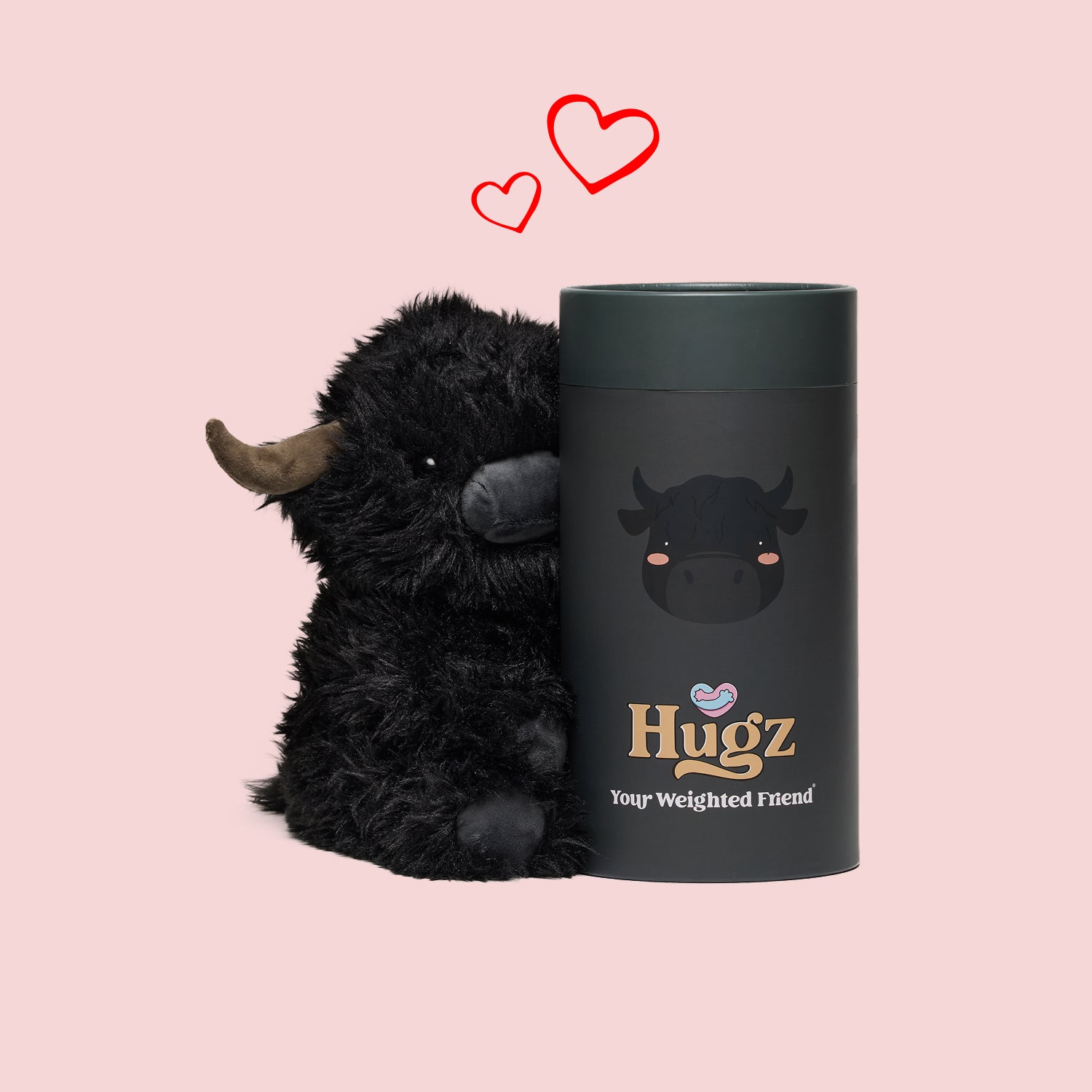 Angus the Highland Cow