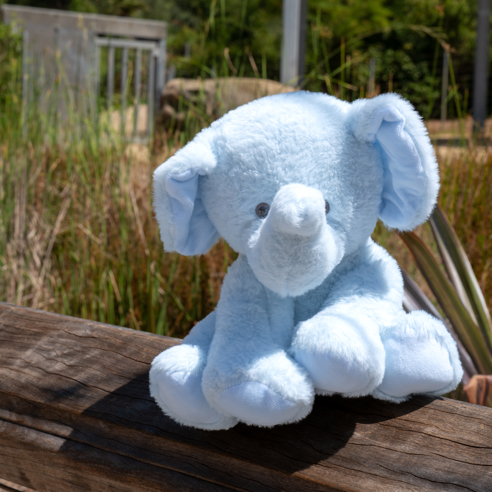 Peanut the Elephant (Limited)