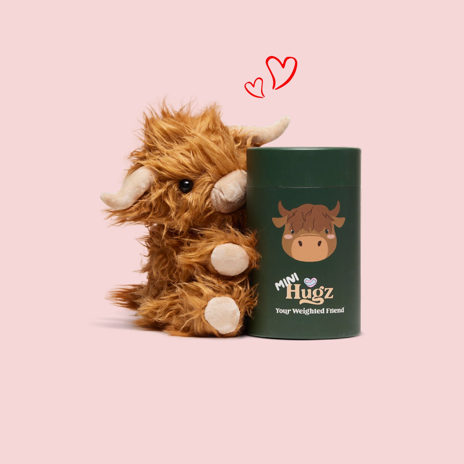 Mini Toffee the Highland Cow