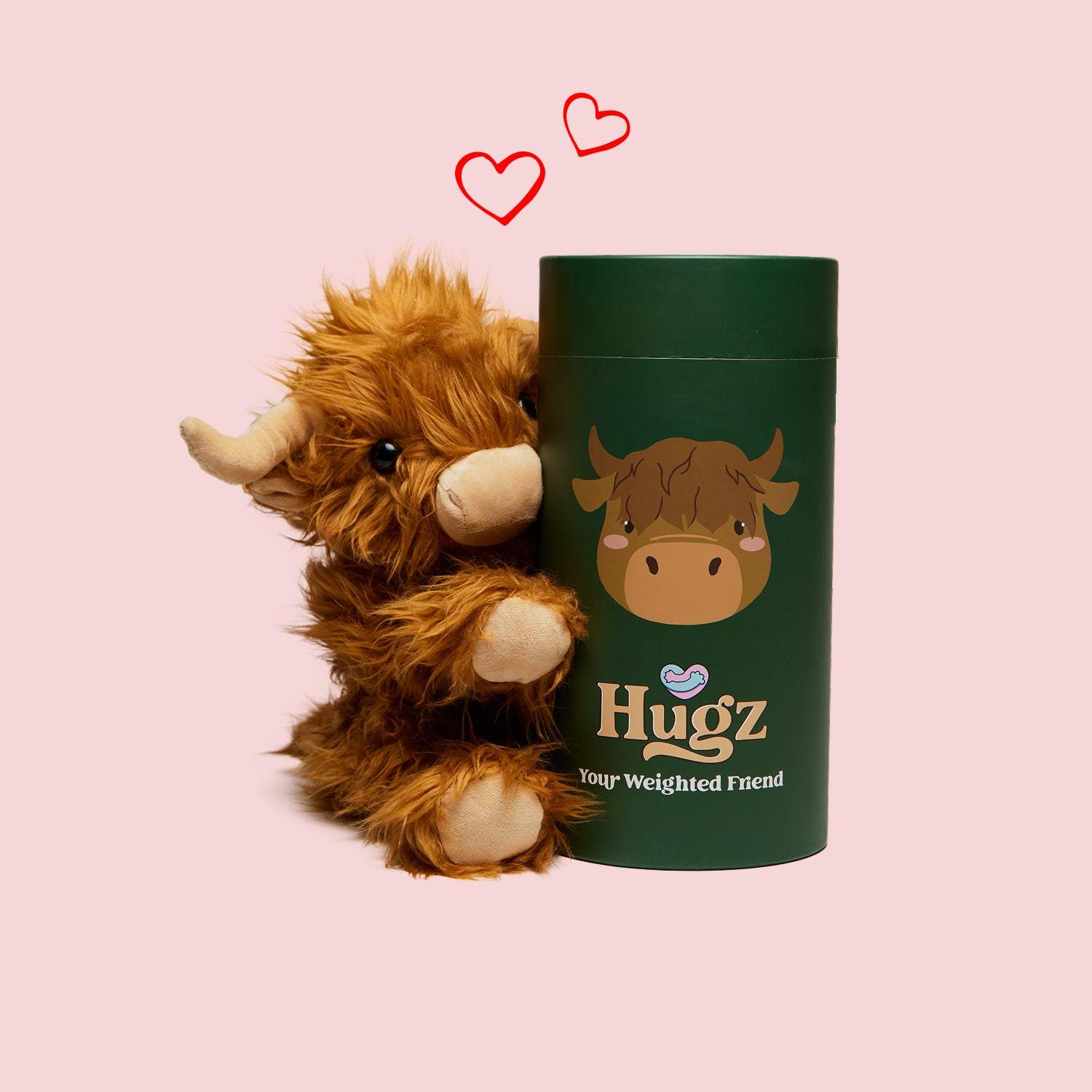 Toffee the Highland Cow