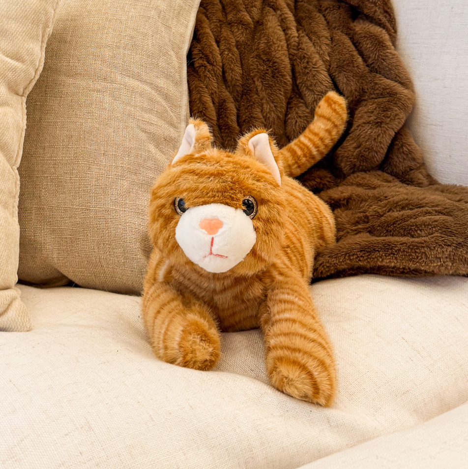 Ferguson the Cat