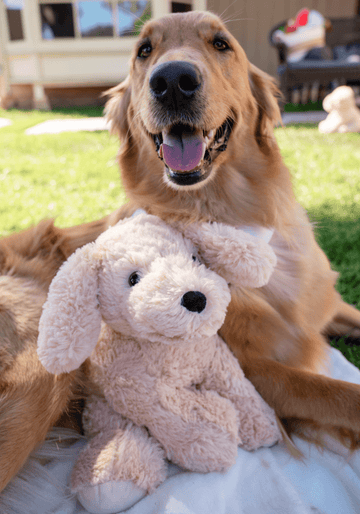 Charlie the Dog – givehugz