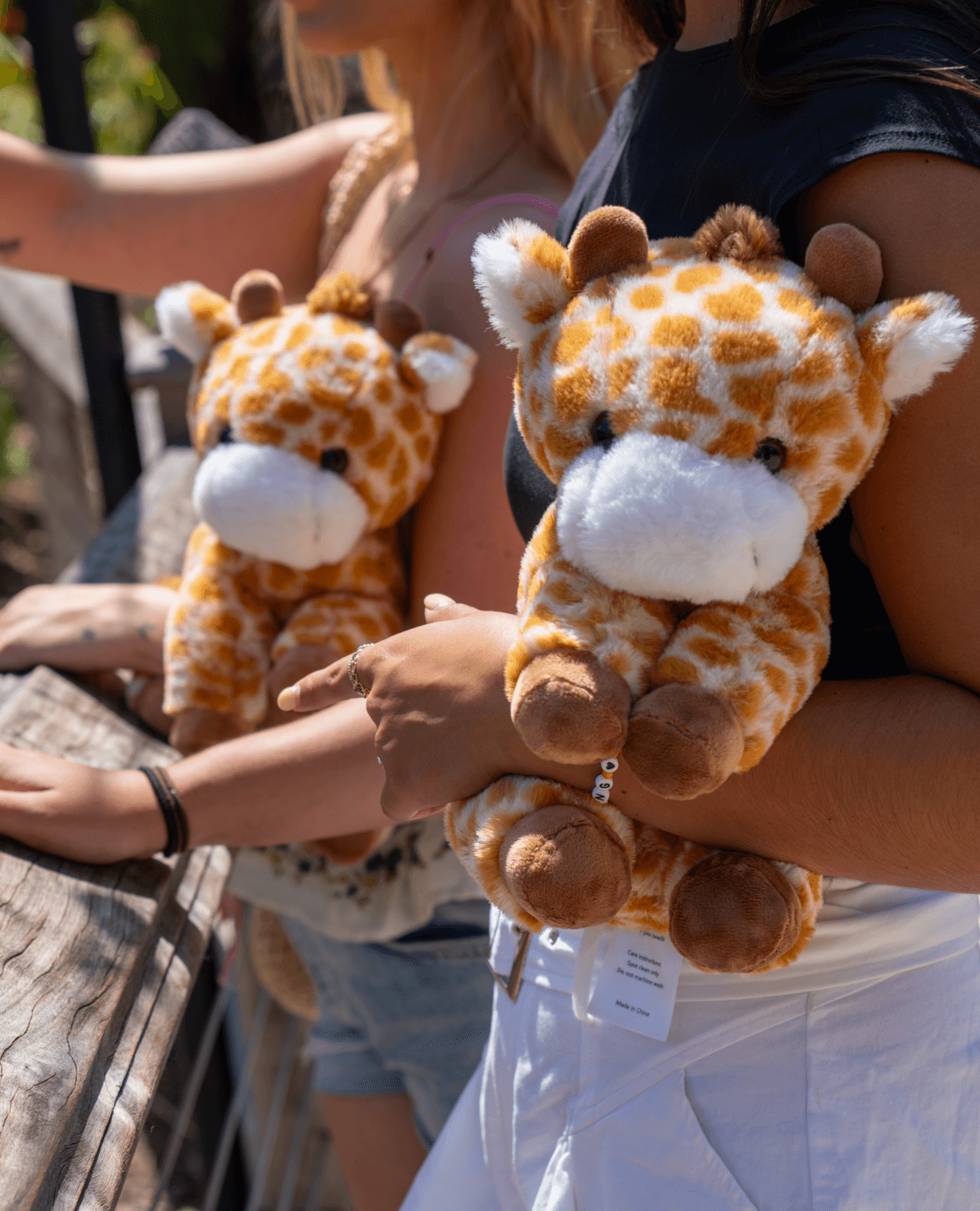 Moose the Giraffe