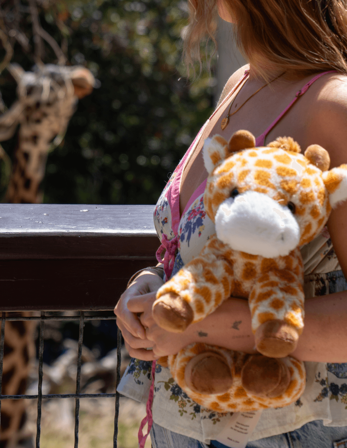 Moose the Giraffe