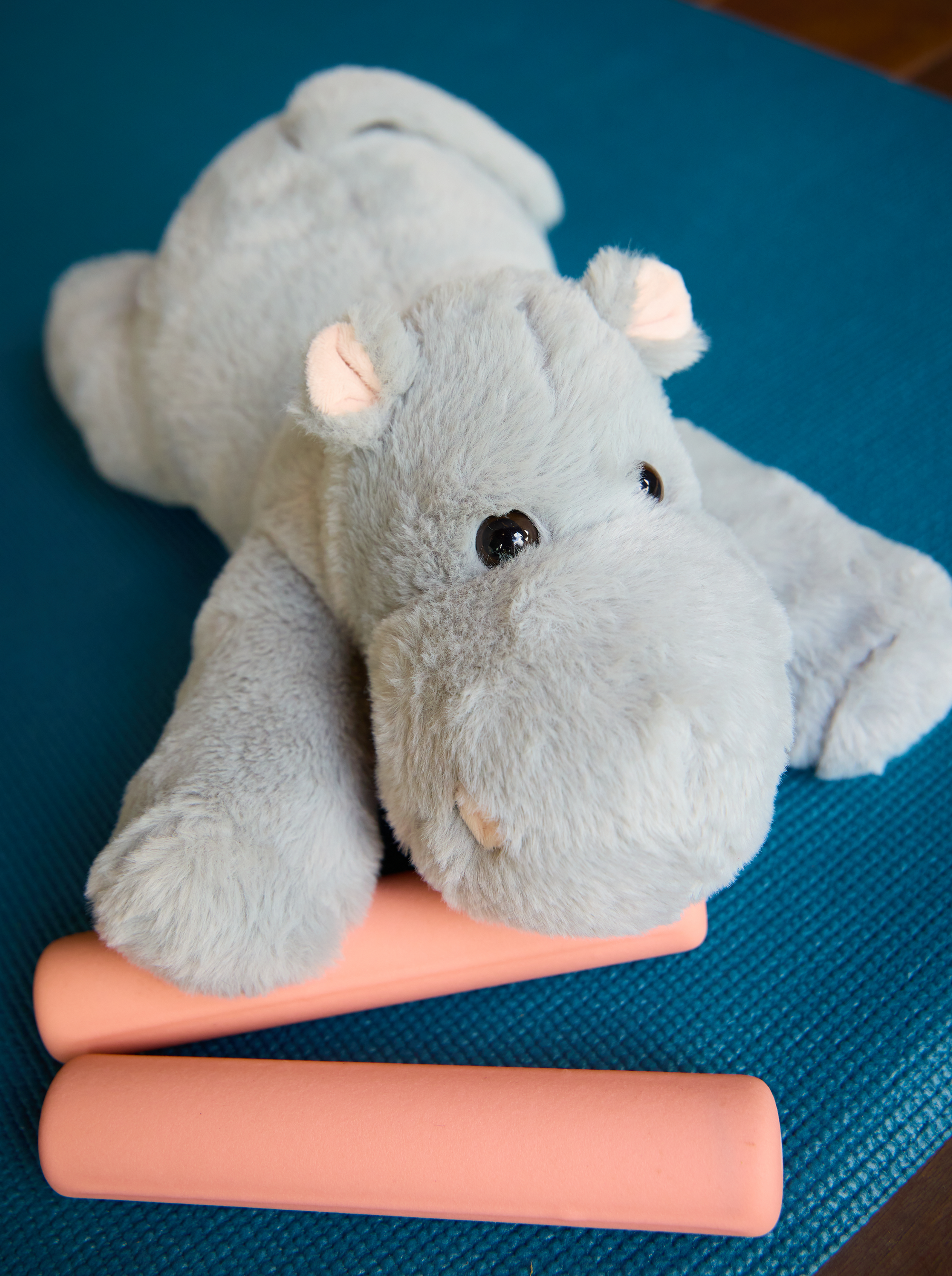 Mochi the Hippo