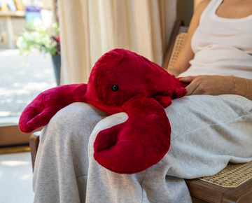Flo the Lobster – givehugz