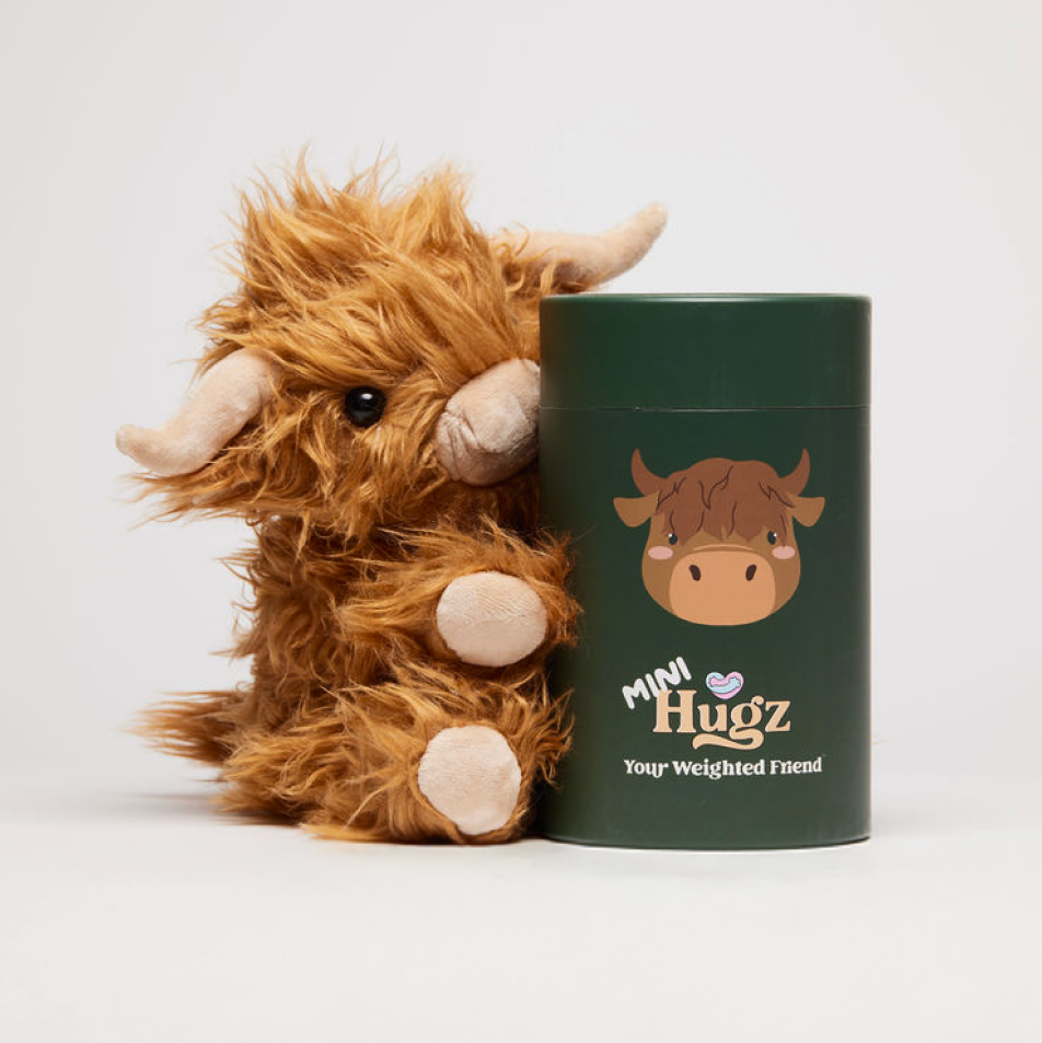 Mini Toffee the Highland Cow