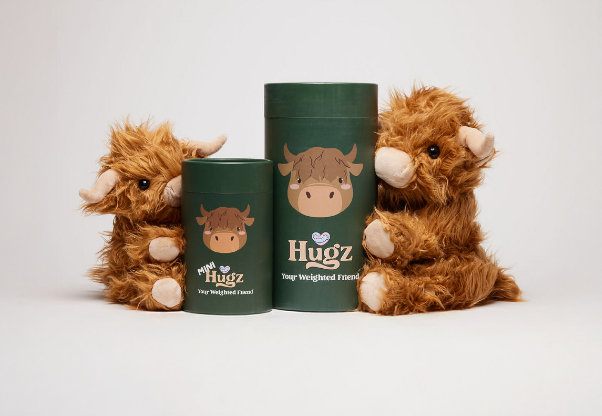 Mini Toffee the Highland Cow
