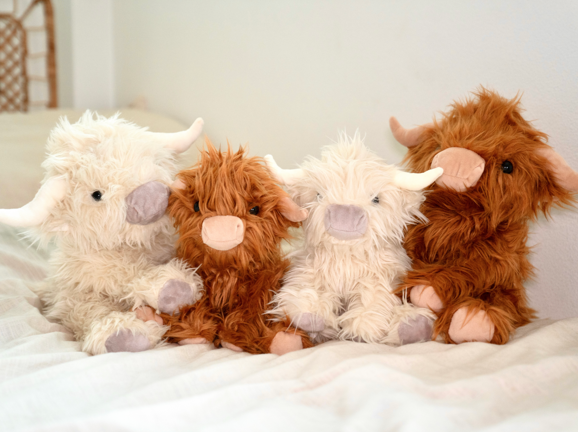 Mini Scottie the Highland Cow