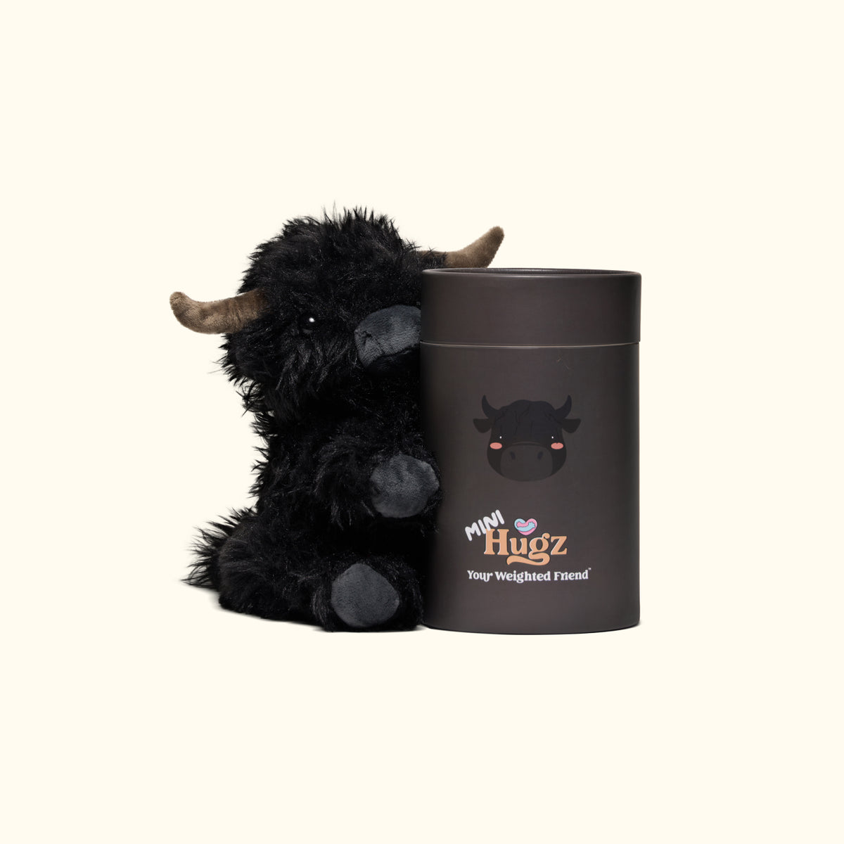 Mini Angus Highland Cow