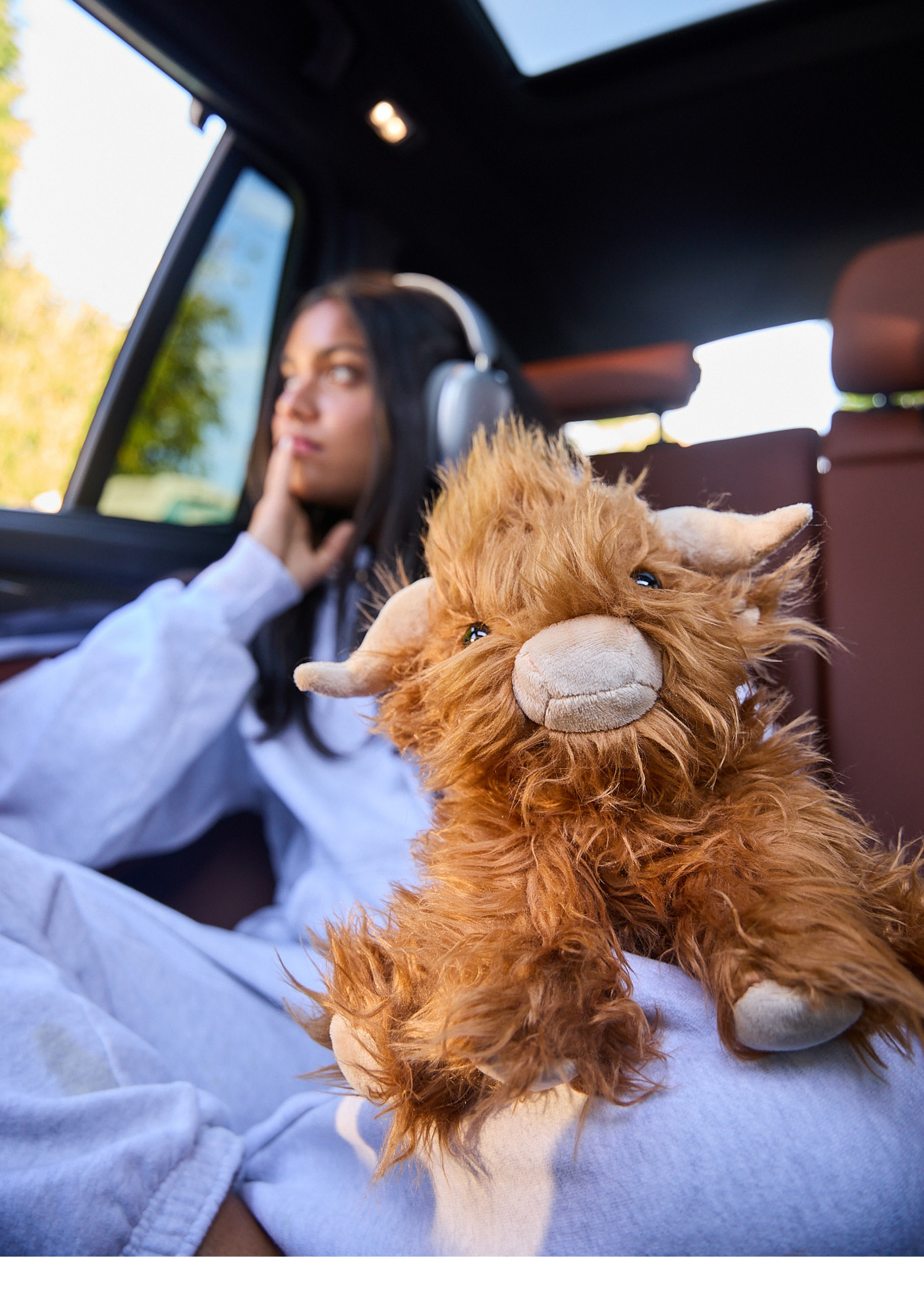 Mini Toffee the Highland Cow