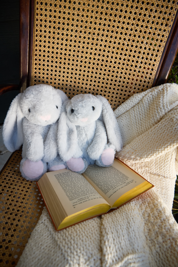 【新商品】新品未開封　hug buddy bunny land 8箱入り Mini Lola the Bunny – givehugz