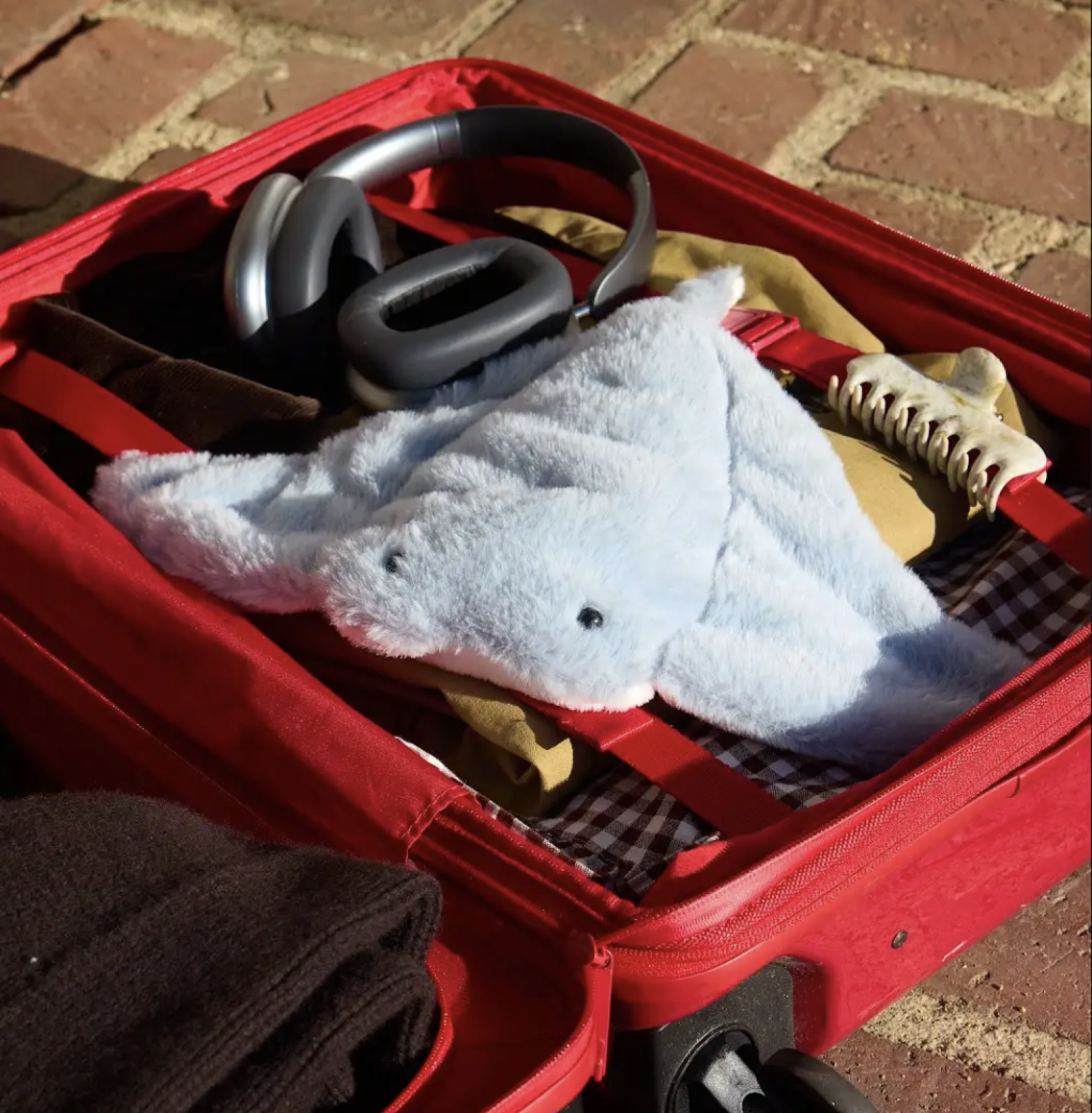 Mini Rey the Manta Ray