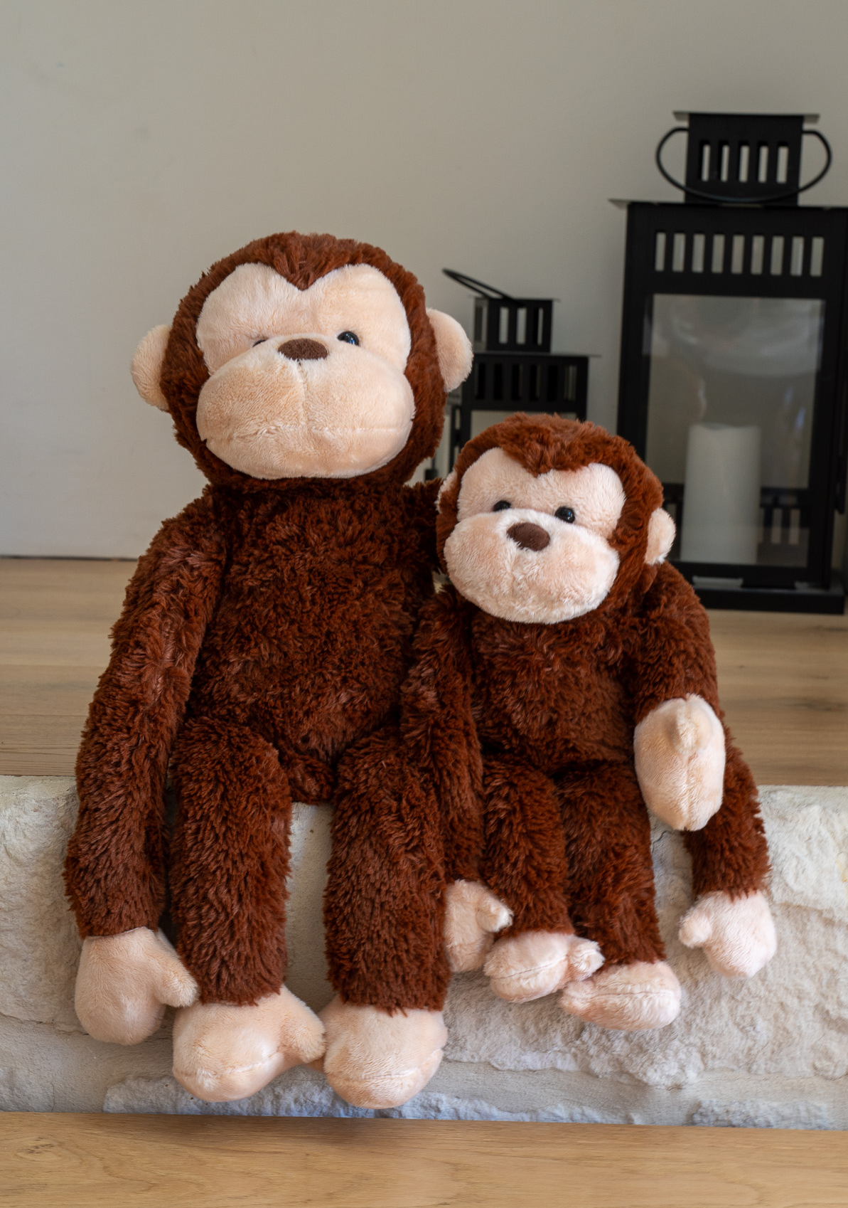 Mini Coco the Monkey