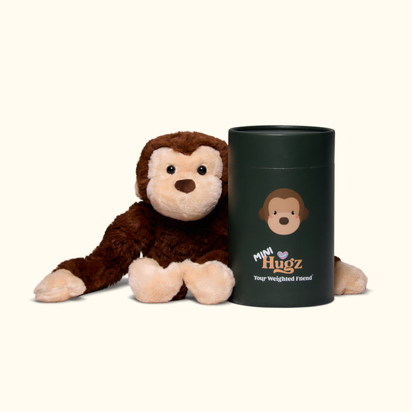 Mini Coco the Monkey
