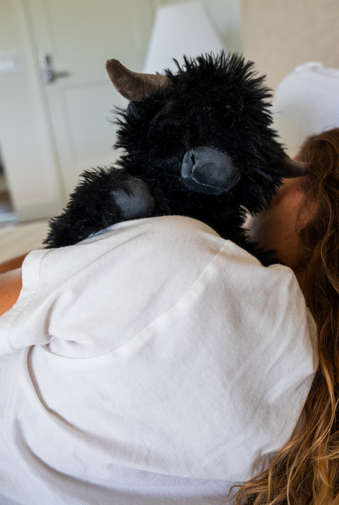 Mini Angus the Highland Cow