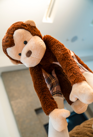 Coco the Monkey – givehugz