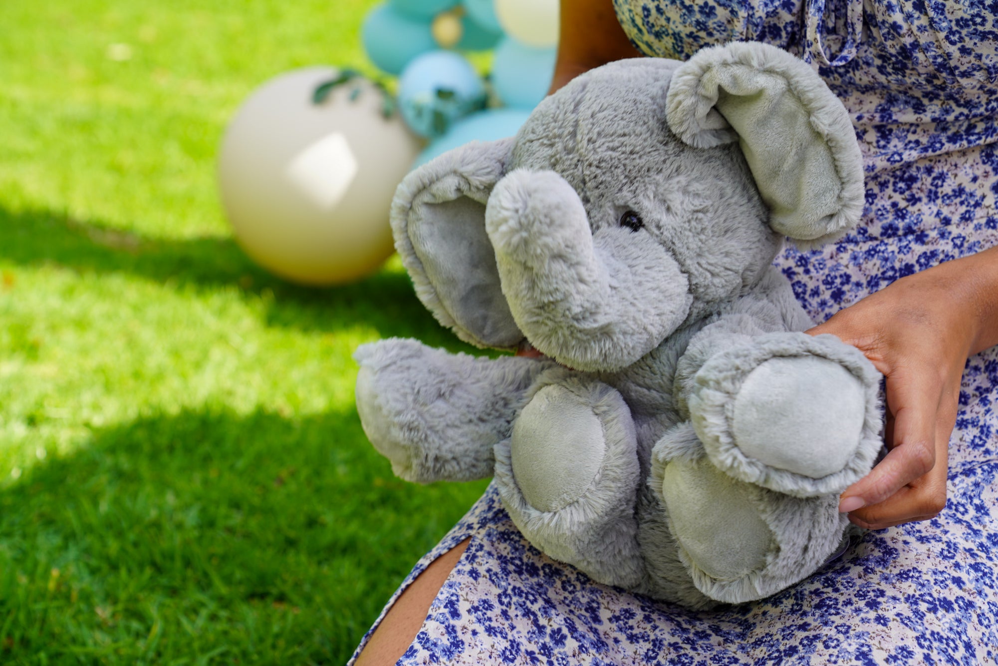 Eugene the Elephant