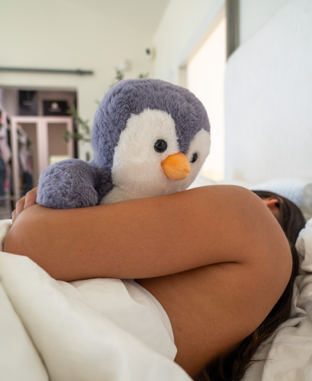 Pebbles the Penguin