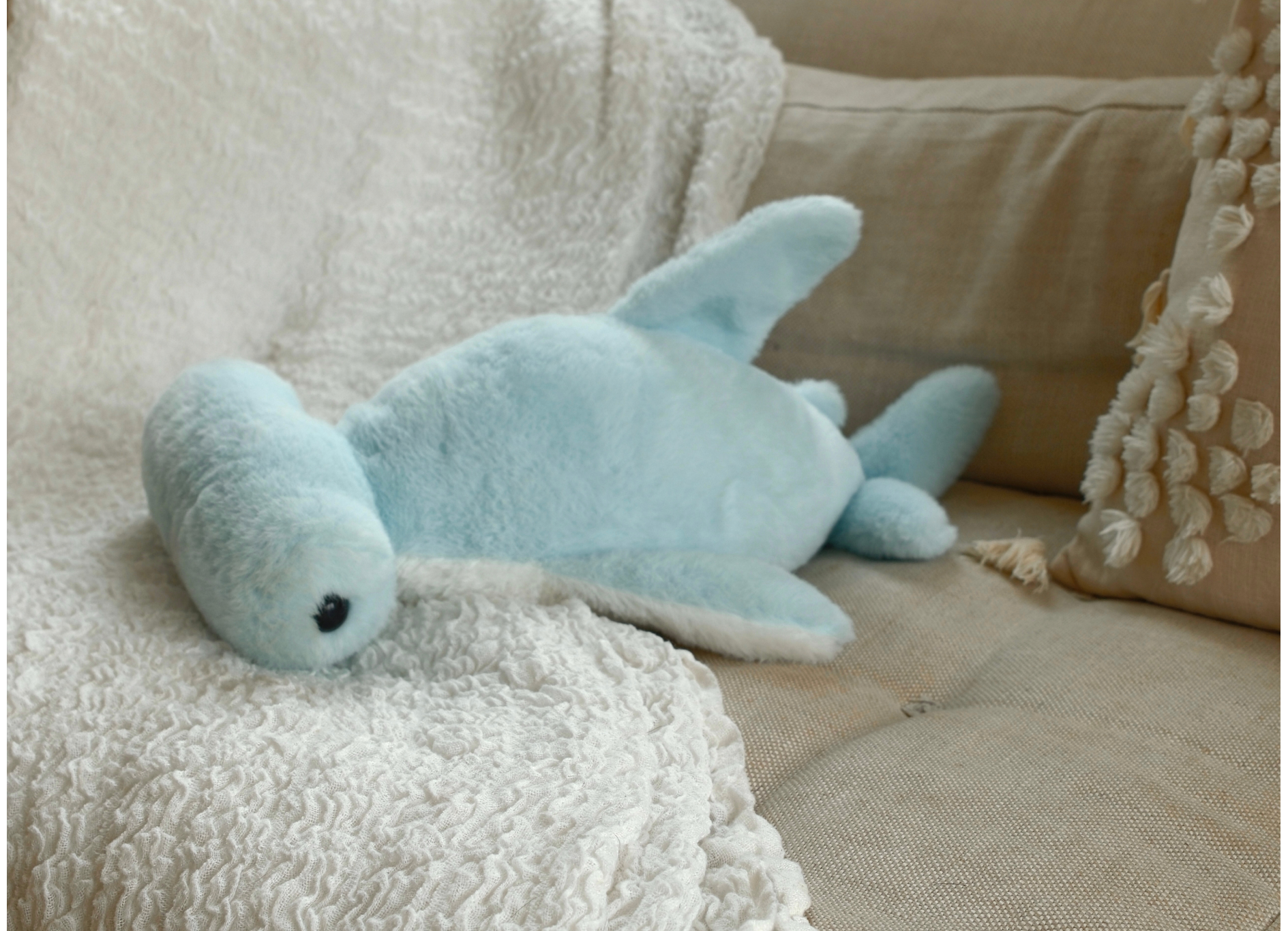 Hugz Shark Bundle