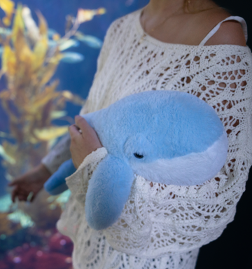 Finn the Whale – givehugz