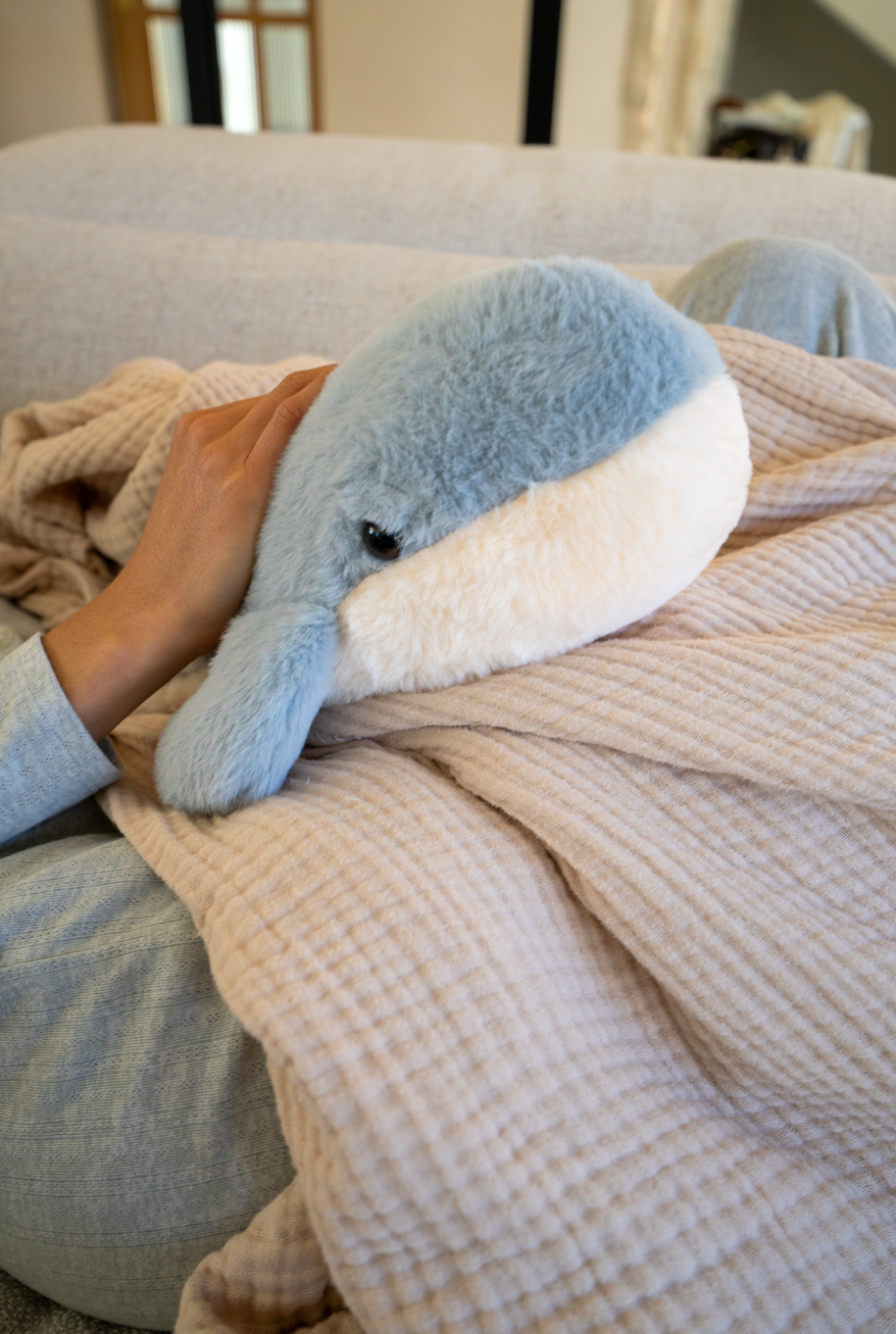 Finn the Whale