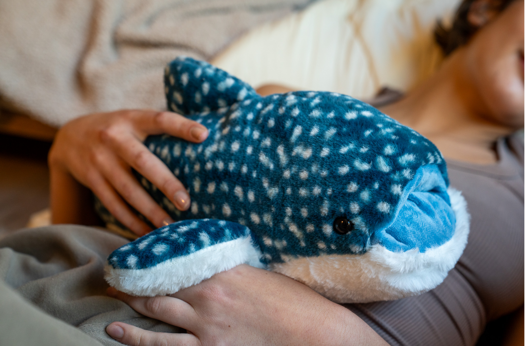 Cove the Whale Shark