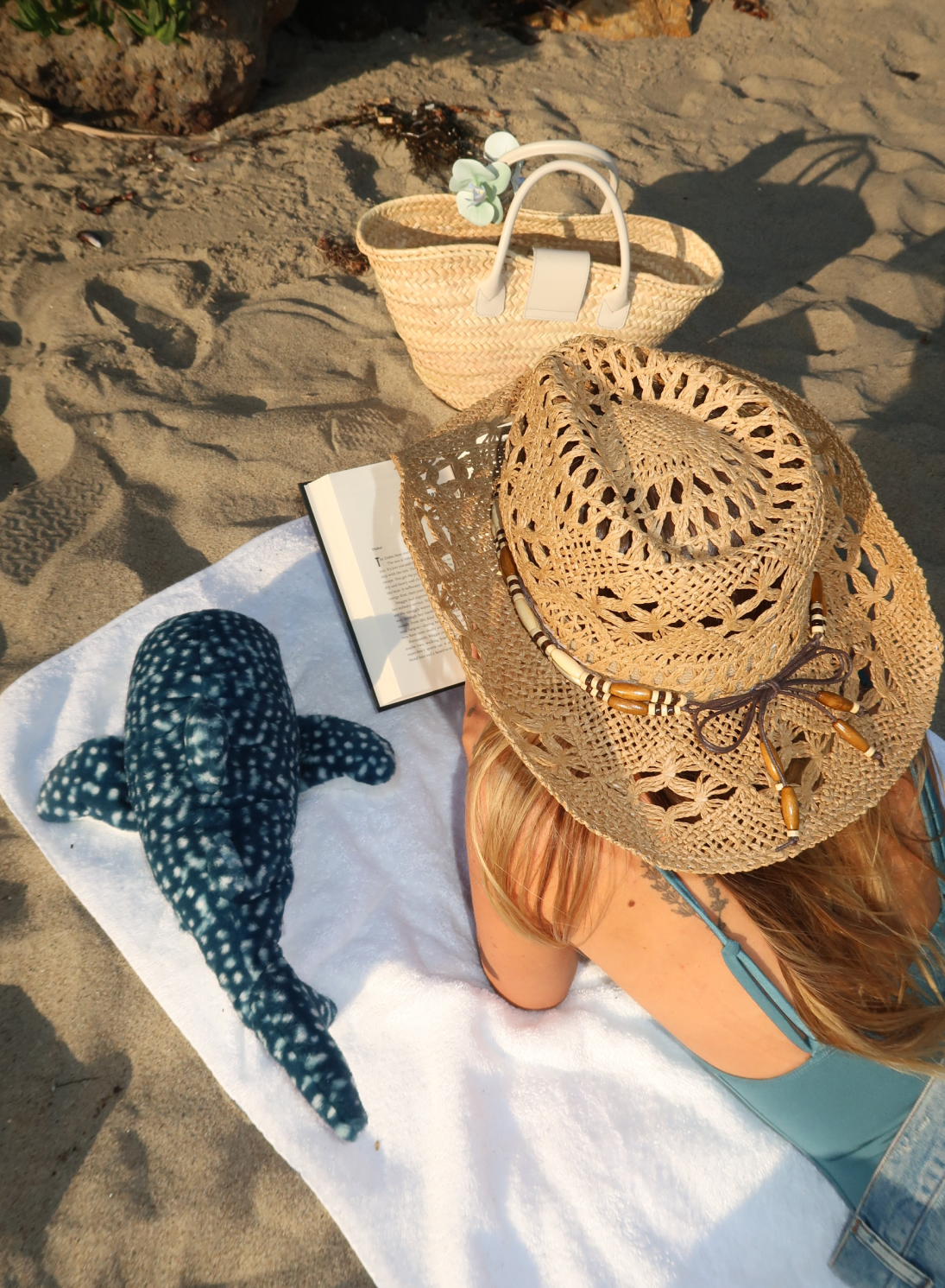 Cove the Whale Shark