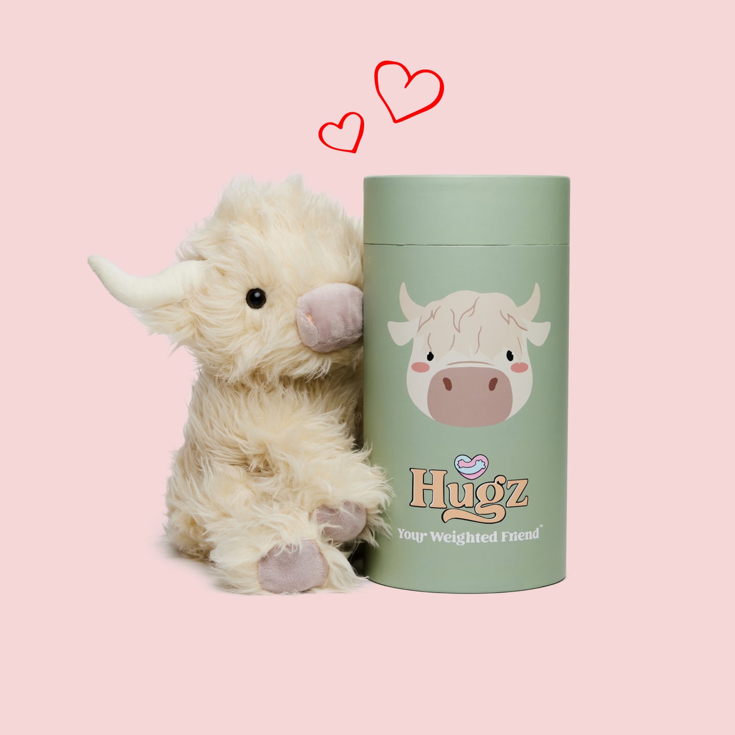 Scottie the Highland Cow