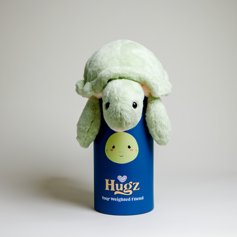 Shelly the Turtle